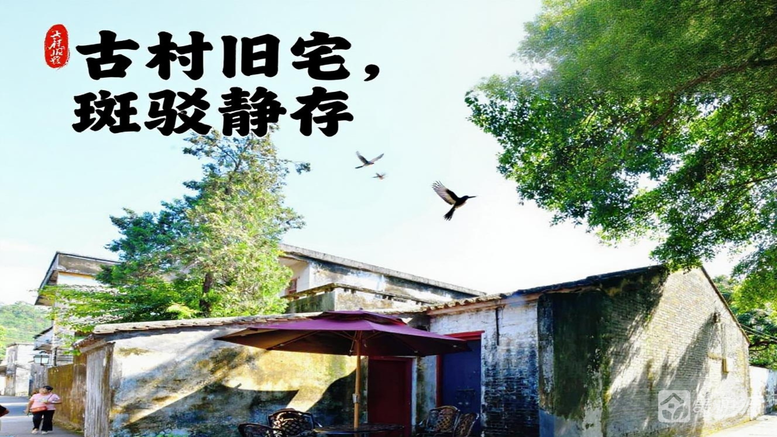 14-泰和街26号