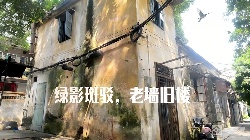 （已出租）聚龙街52号房屋（大涌镇安堂社区股份合作经济联合社）