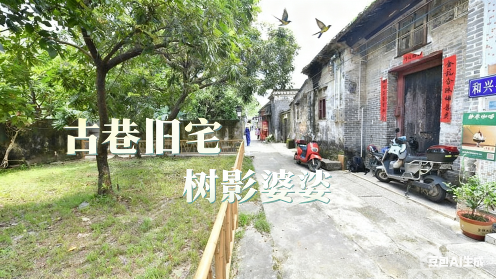 38-和兴街17号右侧宅地