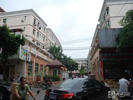 顺康园宿舍楼底第36卡（中山市古镇镇古二村股份合作经济联合社）