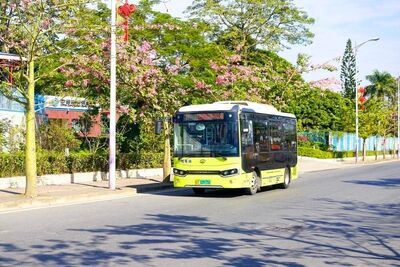 覆盖率达96.4%!中山这个项目入选全国优秀案例