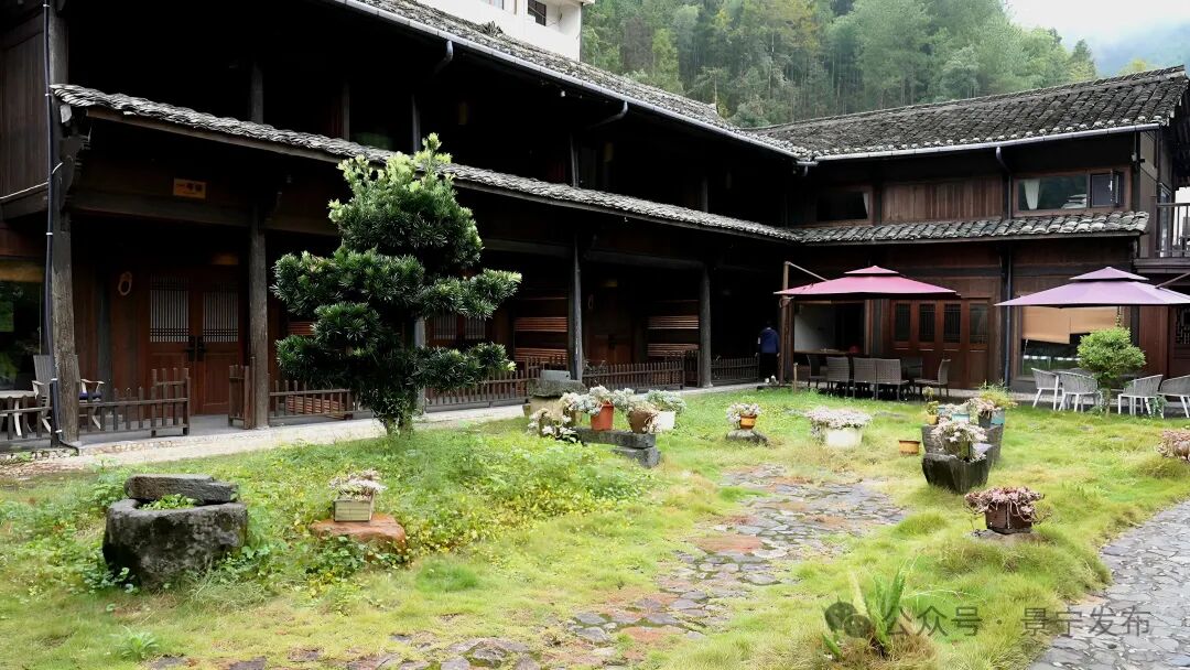 “两山”实践乡村行丨景宁雁溪乡闲置老宅“苏醒” “乡创燕栖”铺就共富路