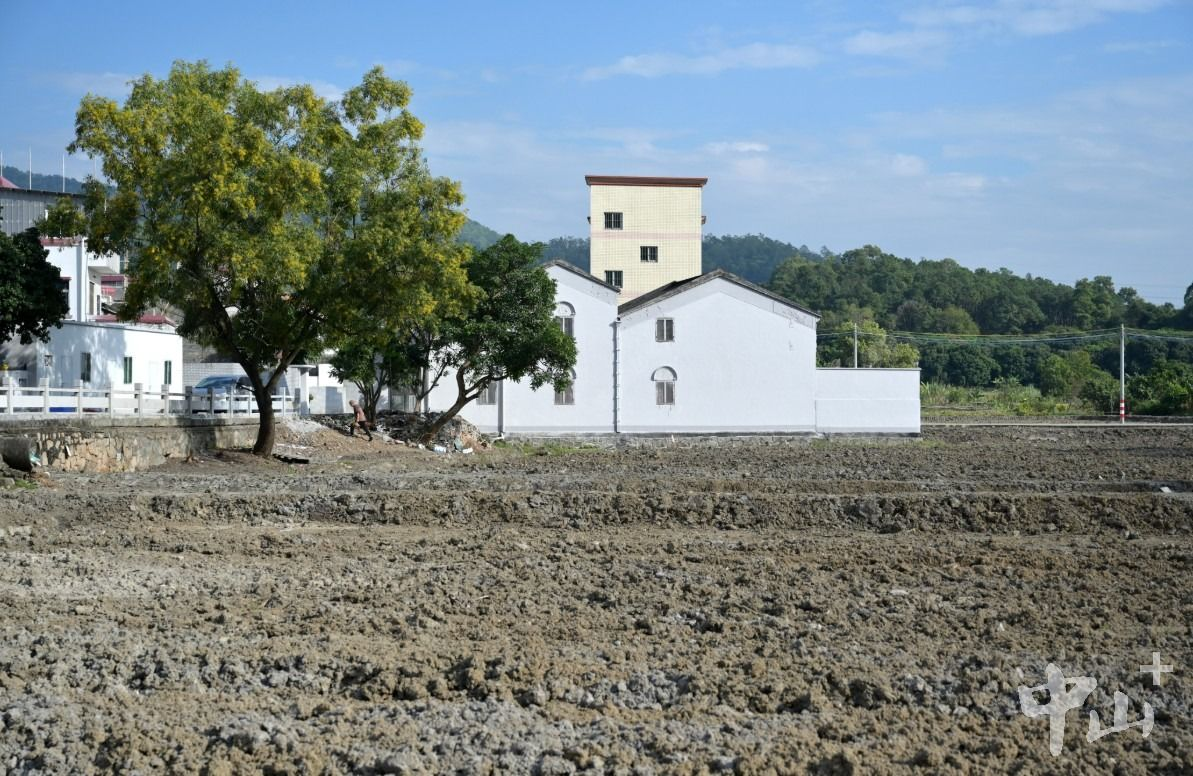 南区马岭社区在行动，脏乱差地块变身“标准田”