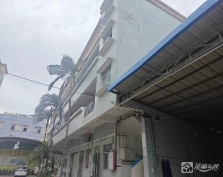 彩虹路15号整体物业的宿舍（中山市坦洲镇坦洲村股份合作经济联合社）