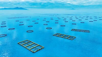 深度调研 | “百千万工程”:如何破题城乡区域发展不平衡