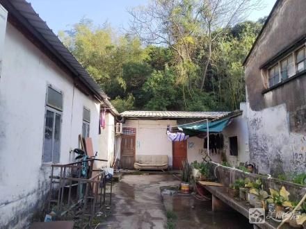 树涌大街29号旁宿舍（中山市南区树涌股份合作经济联合社）