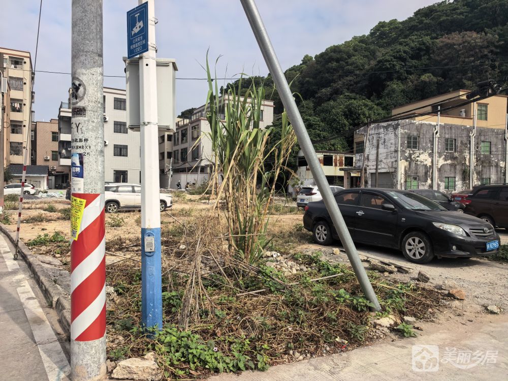 黎村下岐闲置地