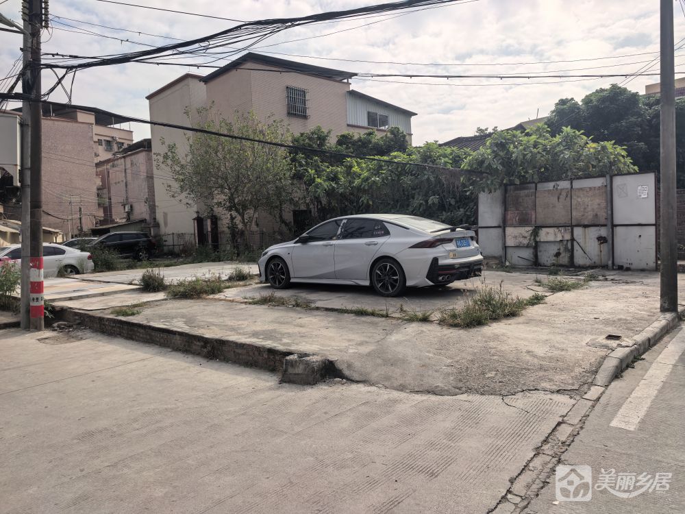 黎村下岐闲置地