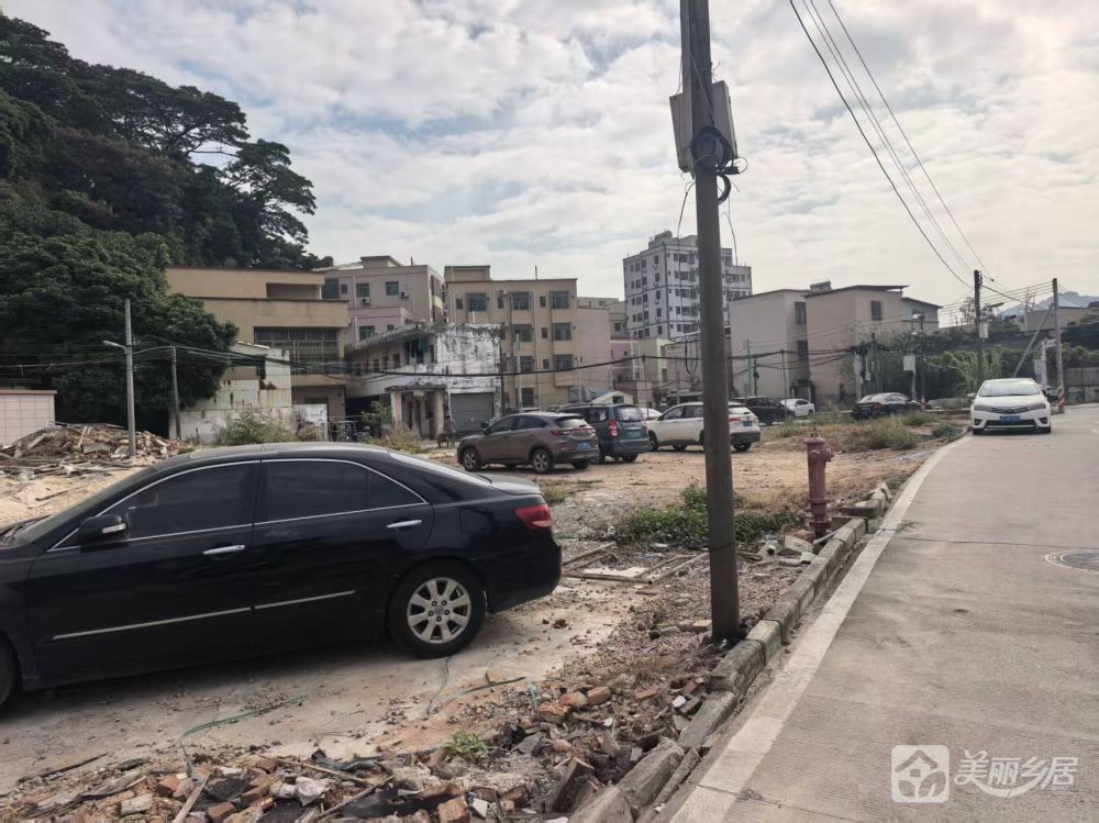 黎村下岐闲置地