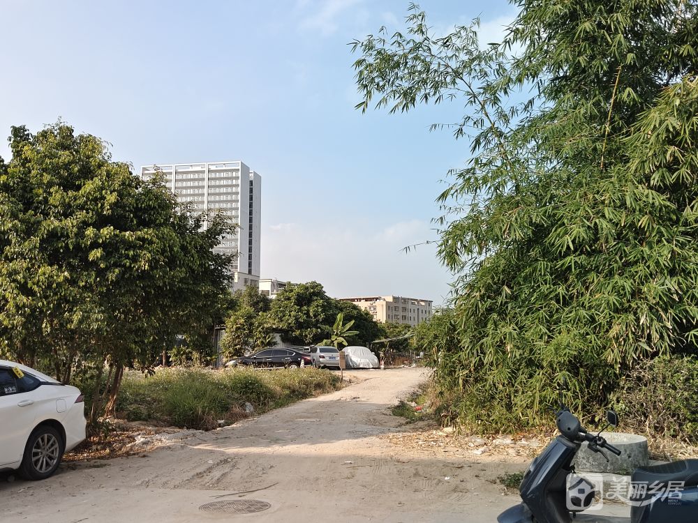 张五村口农用地招租