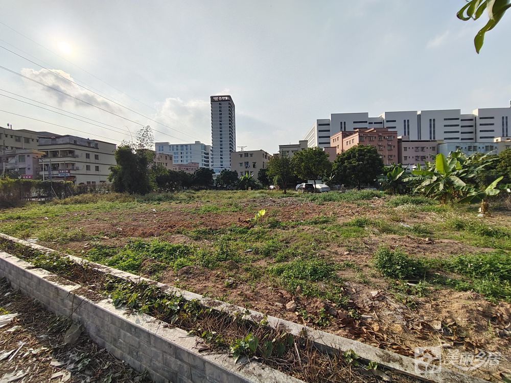 张五村口农用地招租