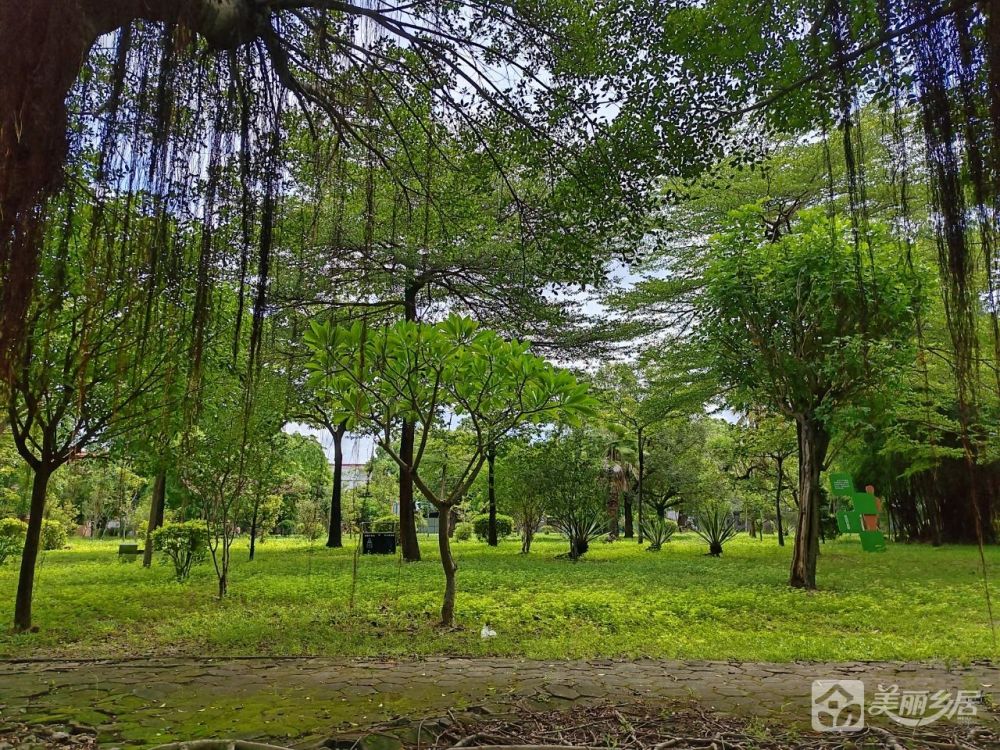 中山市南区街道北台村（詹园慈恩里旁）