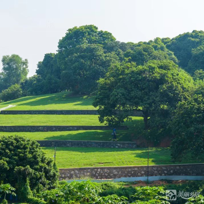 中山市南区街道寮后村
