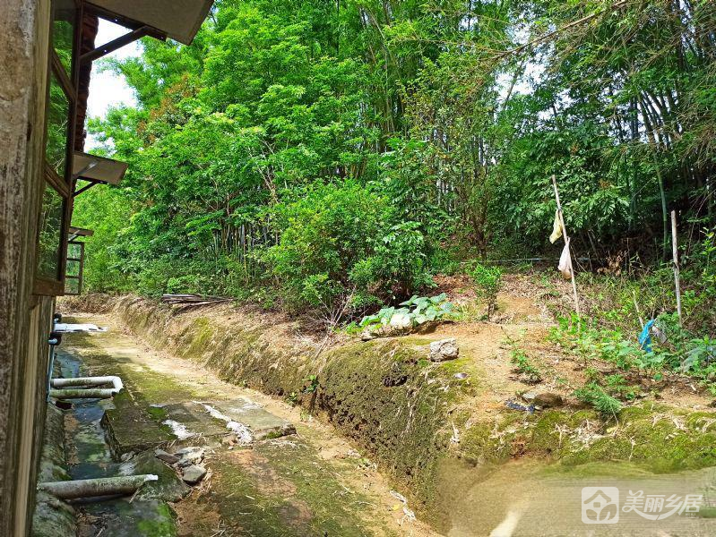 广东省鹤山市共和镇泮坑村民委员会丰塘村宅基地