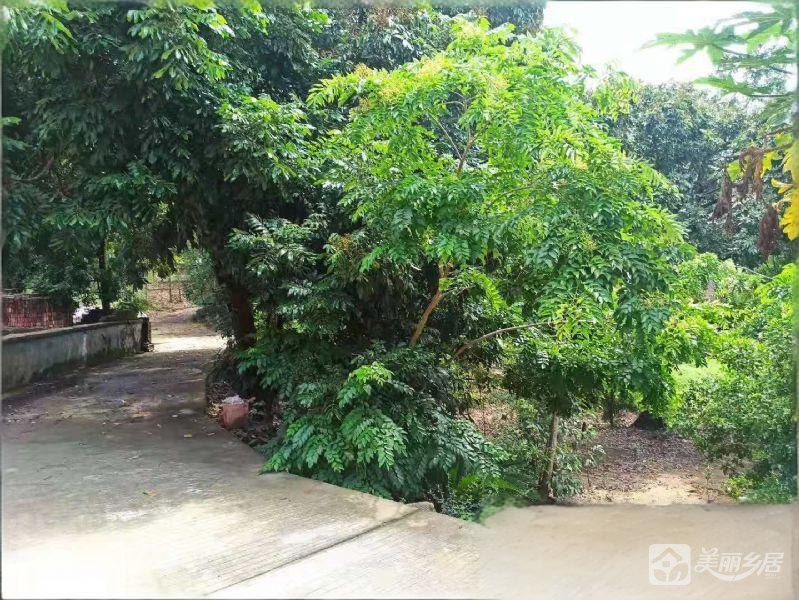 广东省鹤山市共和镇泮坑村民委员会丰塘村宅基地