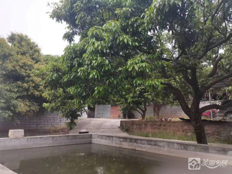 广东东莞厚街农村可居住的果园房子