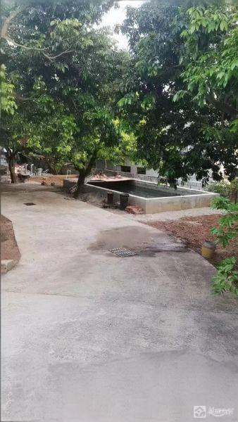 广东东莞厚街农村可居住的果园房子