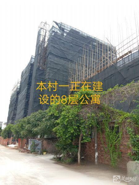 广东省鹤山市共和镇泮坑村民委员会丰塘村宅基地