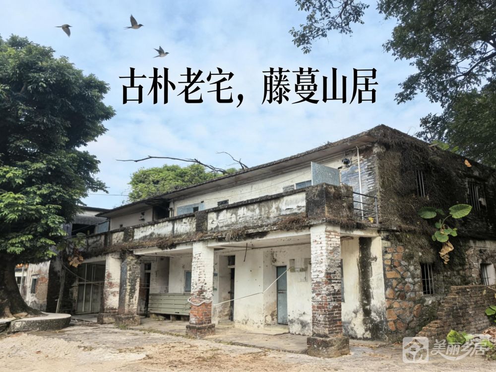 （古朴老宅藤蔓山居）空置旧卫生站