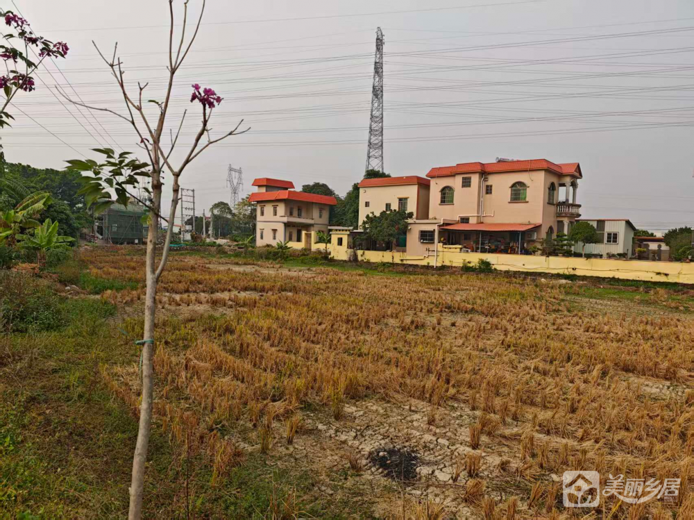 阜沙村德胜街80号