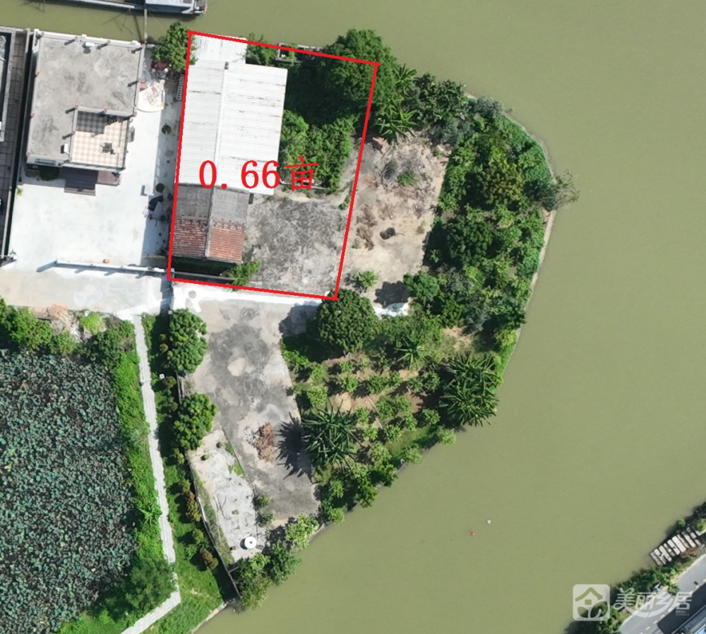 阜沙村6队荷花池 （永盛街6号之四旁）