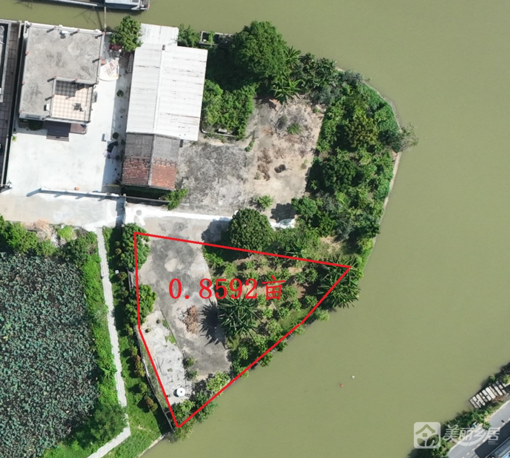 阜沙村6队荷花池 （永盛街6号之四旁）