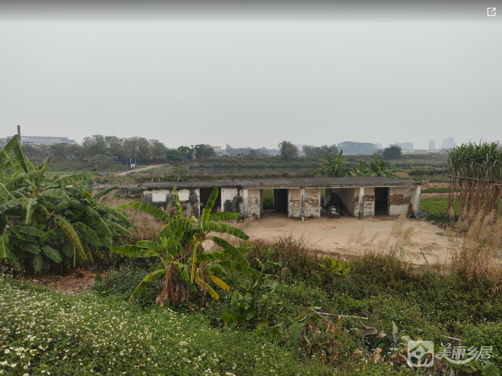 丰联村繁华街13号堤外