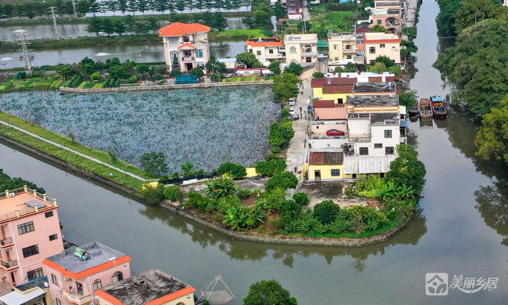 阜沙村6队荷花池 （永盛街6号之四旁）