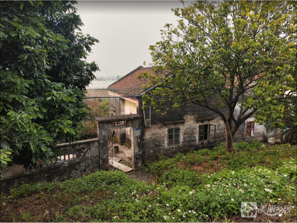 丰联村立业街39号