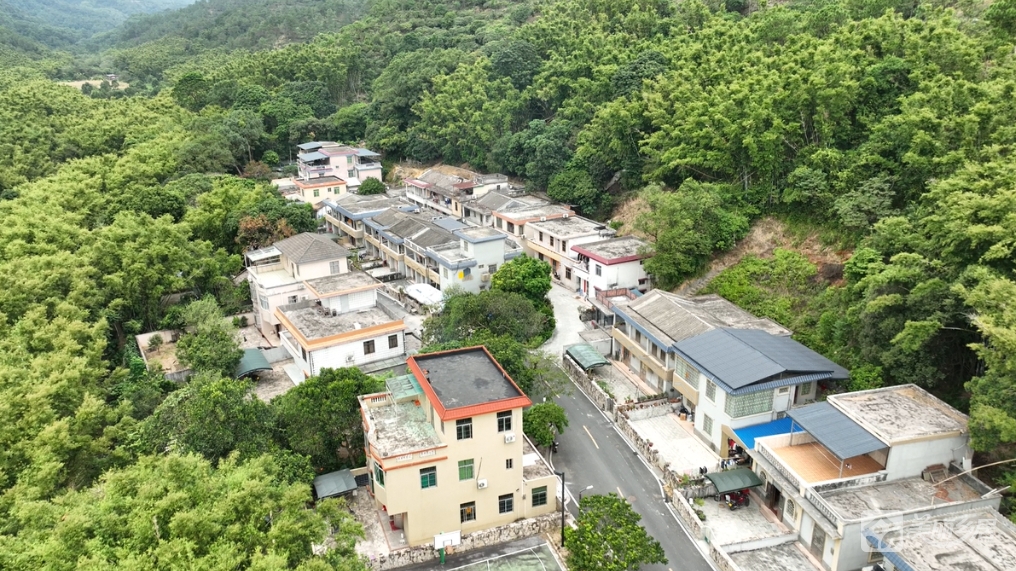 五桂山南桥村和平29号