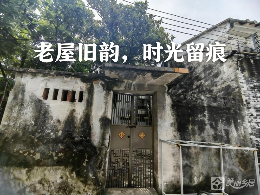 （老屋旧韵·时光留痕）沙溪镇虎逊村新填地街一巷6号