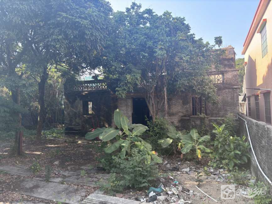 茶东东来街41号