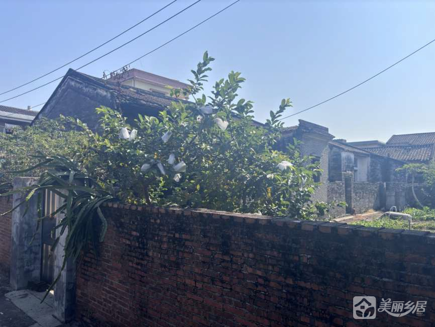 （青砖黛瓦・乡韵满庭）茶西里正街7号旁