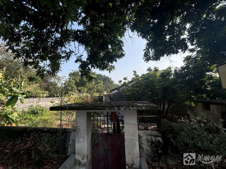 超大院子（乡野旧居，静候新邻）赤坎法治公园旁