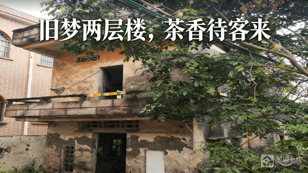 （旧梦两层楼，茶香待客来）丰联村立业街13号