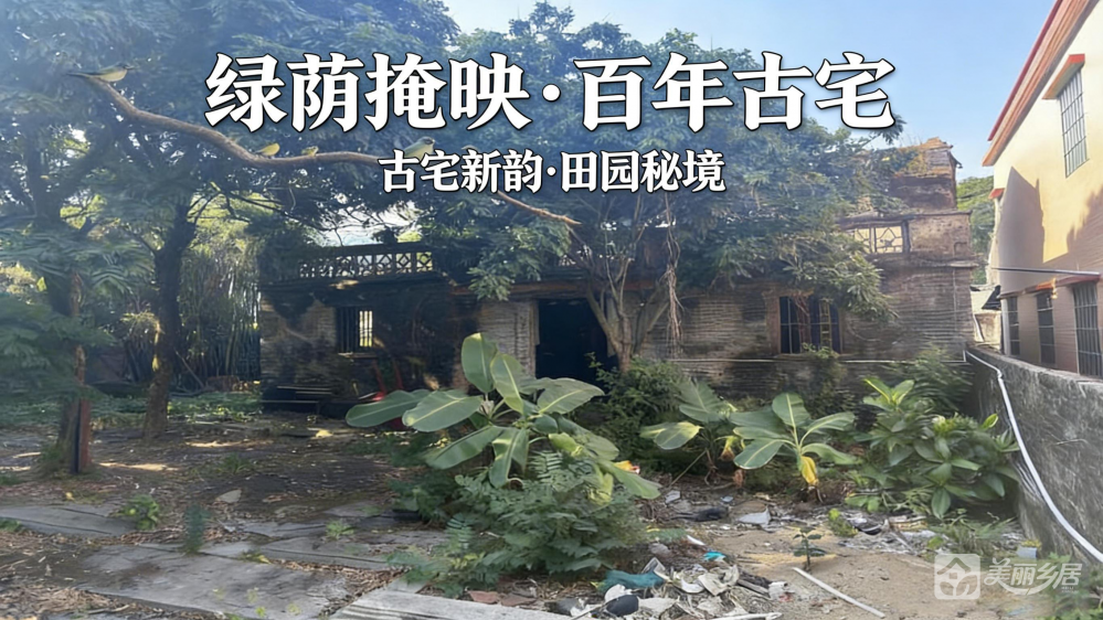 （绿荫掩映·百年古宅）茶东东来街41号