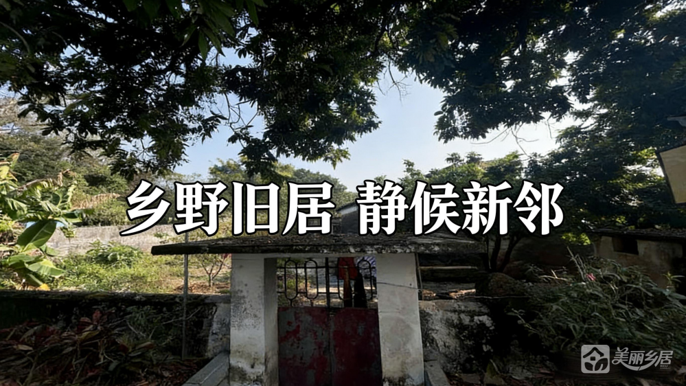 超大院子（乡野旧居，静候新邻）赤坎法治公园旁