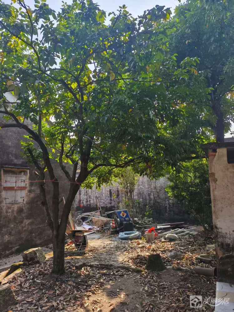 超大院子（乡野旧居，静候新邻）赤坎法治公园旁