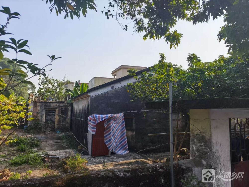 超大院子（乡野旧居，静候新邻）赤坎法治公园旁