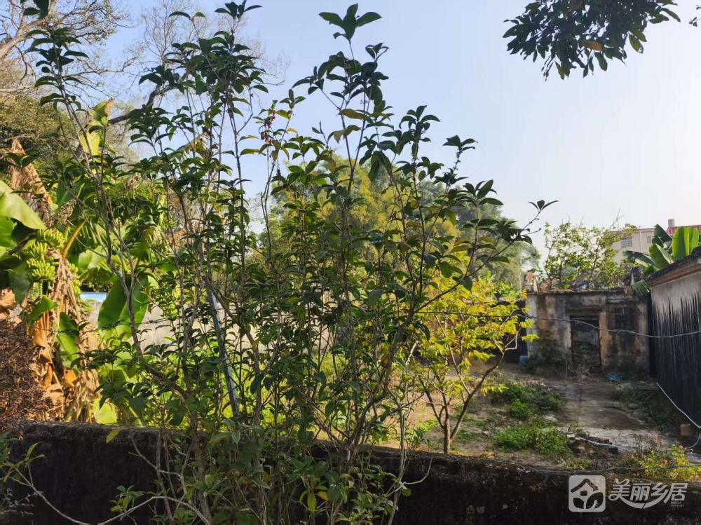 超大院子（乡野旧居，静候新邻）赤坎法治公园旁