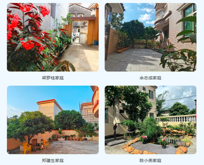 祝贺!三乡14个“美丽庭院”案例榜上有名 祝贺!三乡14个“美丽庭院”案例榜上有名