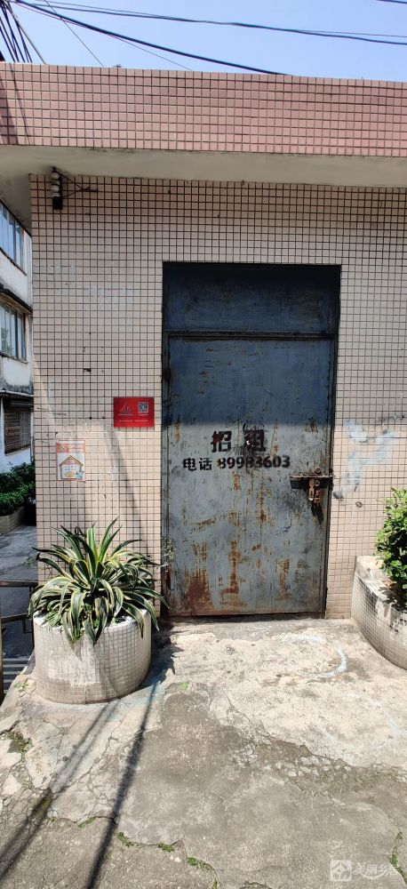 太平路207号后座