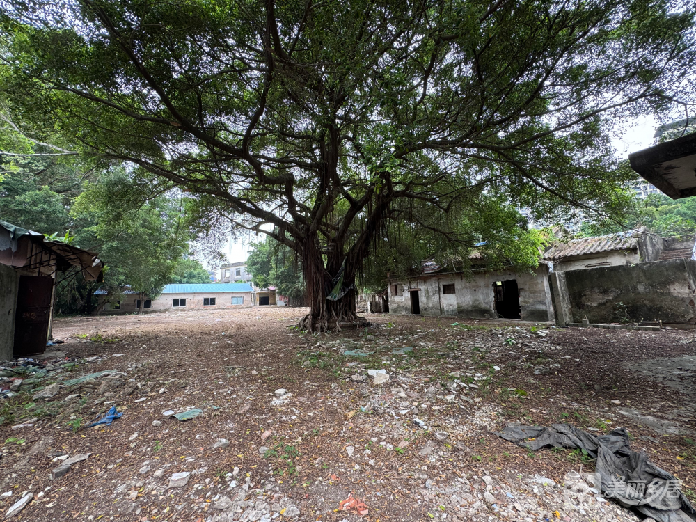 中山市西区中山一路狮滘口桥侧三河仓库