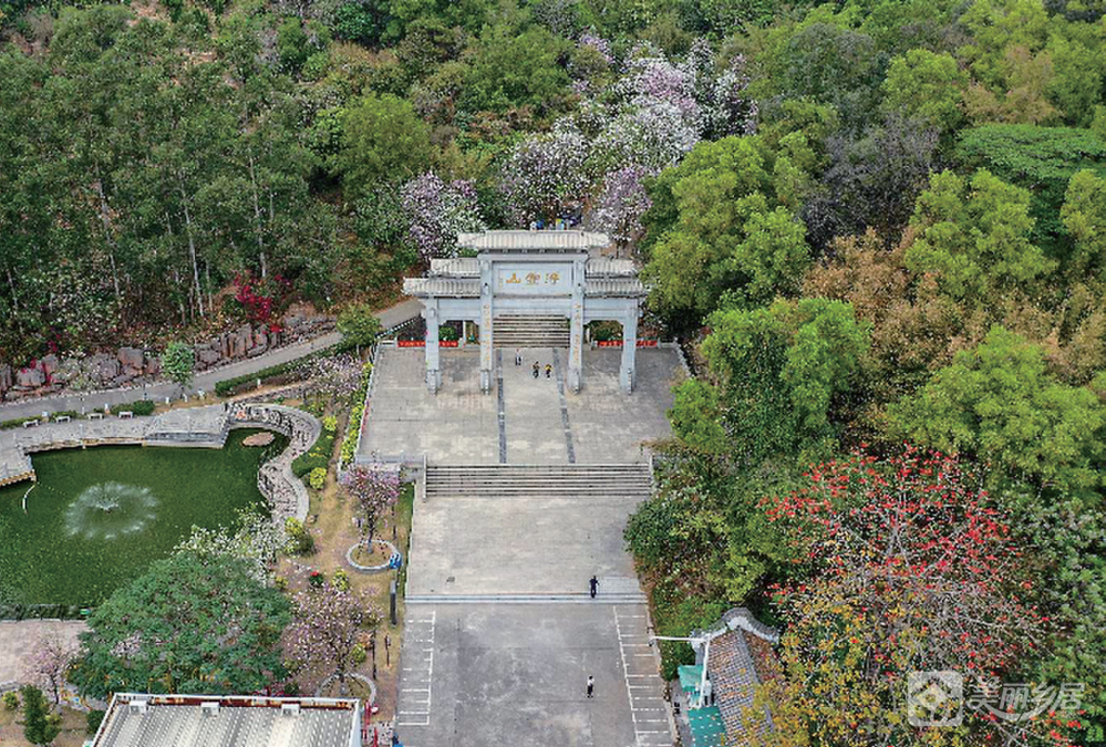 阜沙镇浮虚山定向运动培训基地