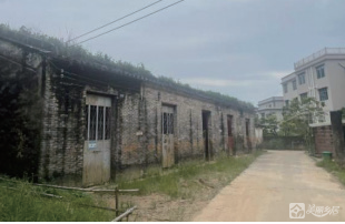 海港村芒冲民宿建设项目