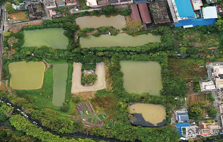 翠亨村“40亩地块”