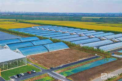 神湾竹排温室大棚生态农业建设项目