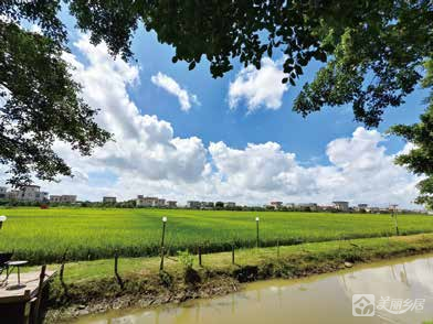阜沙镇大有村冠能地块农文旅项目