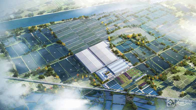 中山市横档村现代渔业示范产业园