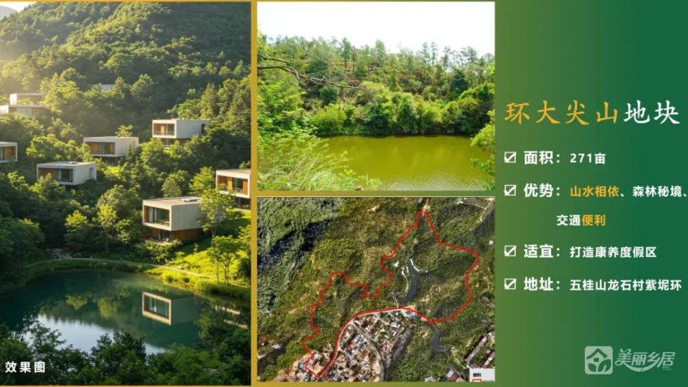 环大尖山地块